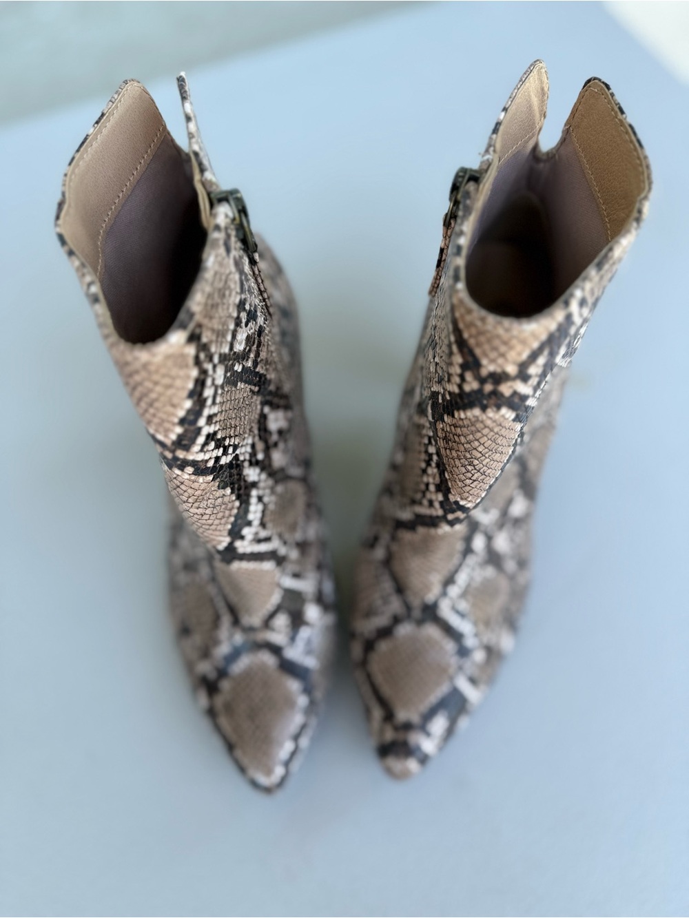 Scoop NYC Snake Print Ankle Booties in Black, Gray, Cream - Picture 3 of 4